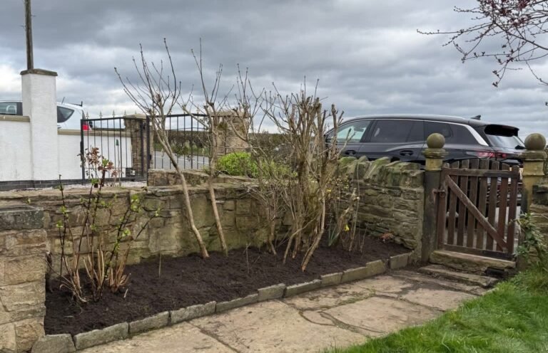 WhatsApp Image 2026-03-19 at 2.51