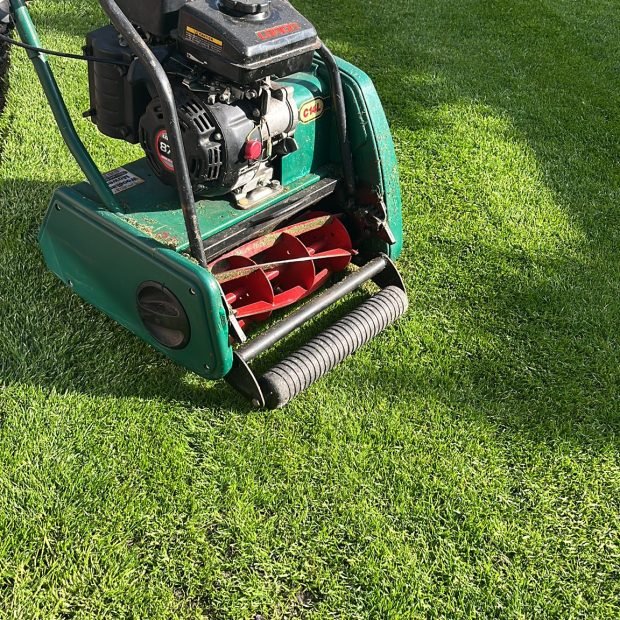 644932575_122098952096015782_1570381919077768430_n